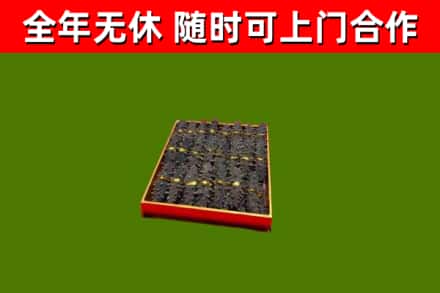 凤庆县回收海参